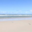 코스트코 이미지