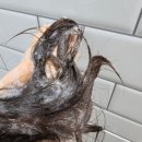 클로베이 이미지