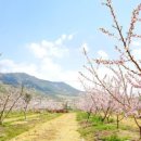 은이농장 이미지