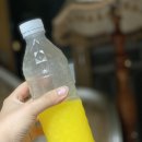 밤포차 방이점 이미지