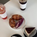 꽃피는청춘