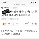 '이효리 차→불매 타깃' 日닛산차, 한국시장 철수 검토 이미지