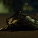 성민 당구장 이미지