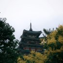 시대이용소 이미지