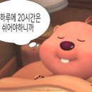 헤어캐스팅 네이버블로그