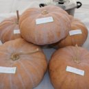 이반 1농장 이미지