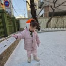 눈이 오면 눈삽썰매지 ❄️~! 이미지