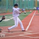 유풍
