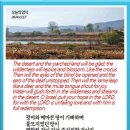 노보현 네이버블로그