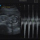 경희다인한의원 이미지