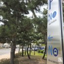 인천광역시 남동아시아드럭비경기장 경기장 | 이웃과 함께 즐기는 활기찬 건강 쉼터, 남동 아시아드 럭비 경기장 파크골프장 완벽 가이드