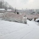 이화농장 이미지