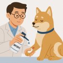 스마일6층약국 이미지