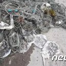 그물과물고기 이미지