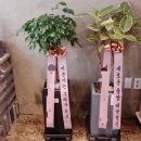합성동347 이미지