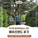 제주조각공원 | 아기랑 제주 여행 필수 코스! 국내 최대 규모의 미로공원 메이즈랜드