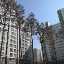 미사센텀팰리스공인중개사사무소 이미지