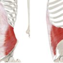 헬스피티 이미지