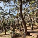 진해구건강증진센터 네이버블로그