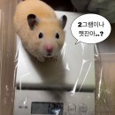 (주)인포마인드 | 😁😁FUN FUN하게 쓰기 좋은 헬스짤모음 (ㅡ ㅡ 뻔뻔하게 쓰세요) feat. 빌리버짐 구의점