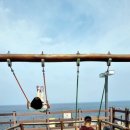 해넘이달렌탈하우스 이미지