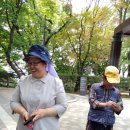 인보의집 이미지