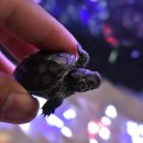 피쉬갤러리 천안점 이미지