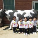 김천목장 이미지