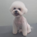 때빼고 광나개 이미지