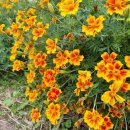 남도마당 이미지