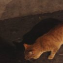 내고향주유소 ~ 경의지하도입구 | [포지타노/후기] 가족들과 함께 떠난 서유럽 여행 - ⑥남부로 향하다, 최고의 여행지이자 최악의 여행지...