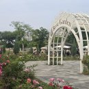 다산지금어린이공원5호[지금-8] 이미지
