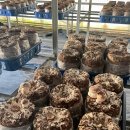 은하제일농장 이미지