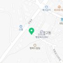 고아똥펫그루밍