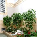 조경만 농장 이미지