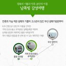 서호동-61 네이버블로그