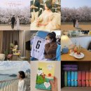 올해의 무엇무엇 : 2020년 연말결산!