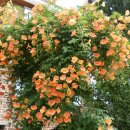 현주네집 이미지