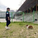 세연고등학교 이미지