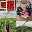 검은들농장 이미지