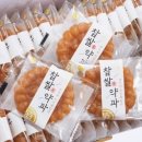 종관 이미지
