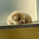 멍테소리 | 멍테소리 후기 – 4년째 꾸준히 다니는 이유