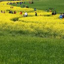 (주)청보리 이미지