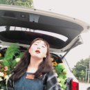 푸른생화 이미지