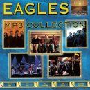 Eagles / Frail Grasp On The Big Picture 이미지