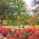 정복농장 이미지