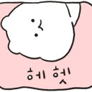 어산호 이미지