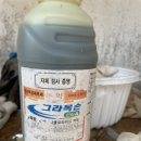 마지막 휴가