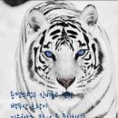 꿈냥꿈냥