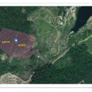 ＜경남고성임야＞고성군 동해면 맹지의 임야 7,040평 급매 4천만원 이미지